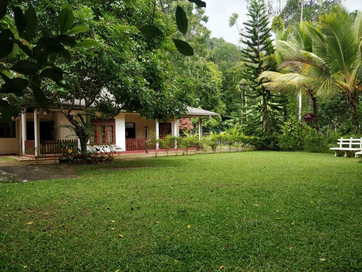 Kobbekaduwa Alfred Colonial Bungalow & Spice Garden מראה חיצוני תמונה